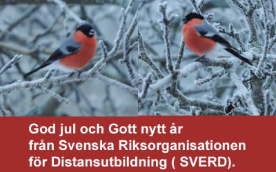 God jul och gott nytt år från SVERD!