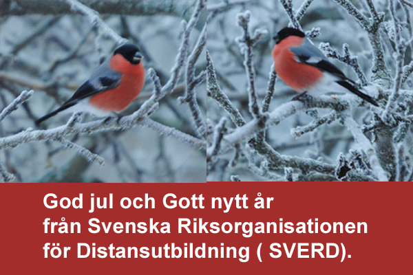 God jul och gott nytt år från SVERD!