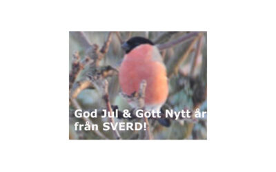 God Jul och Gott Nytt År från SVERD