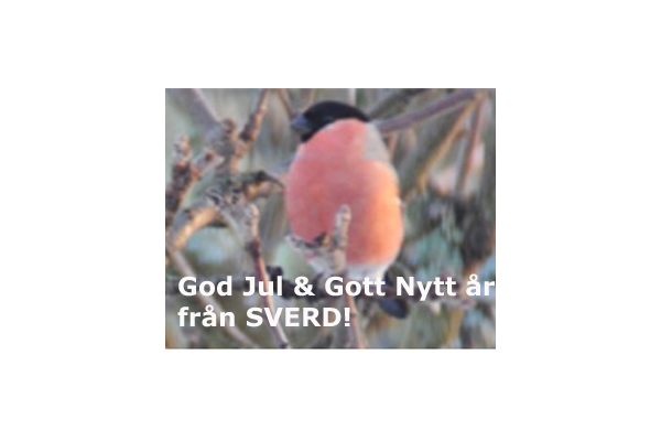 God Jul och Gott Nytt År från SVERD