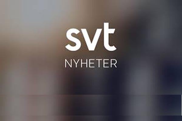 Regeringens utredare föreslår vinstförbud för friskolor