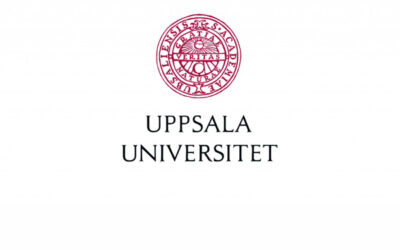 Tillsyn kan inte läka systembrister i det svenska skolsystemet