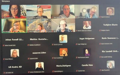 Videos from SVERD Online Spring Conference ” Digital transformation and learning 20250314